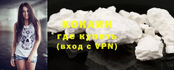 прущие грибы Белокуриха