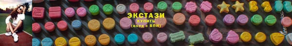 прущие грибы Белокуриха
