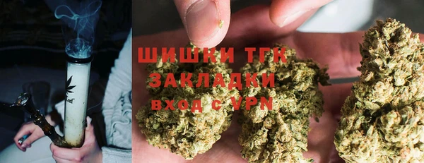 прущие грибы Белокуриха
