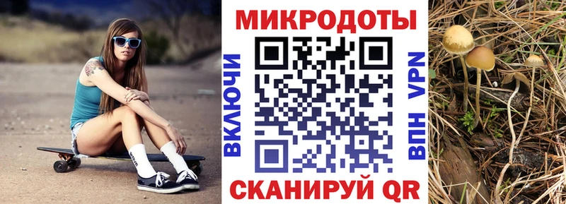 Псилоцибиновые грибы MAGIC MUSHROOMS Бологое