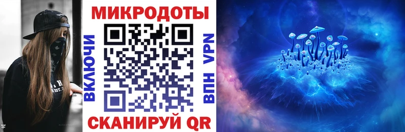 Псилоцибиновые грибы мицелий  Бологое 